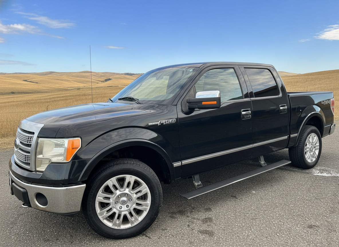 2010 Ford F-150